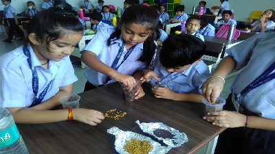 Van Mahotsava (Session 2019-20)